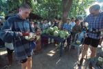 Coconut refreshment stop