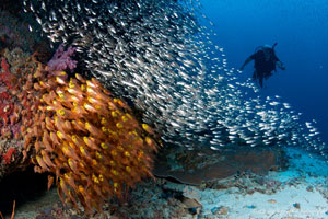 PSI Mariner Gear Bag - Phuket Dive Tours