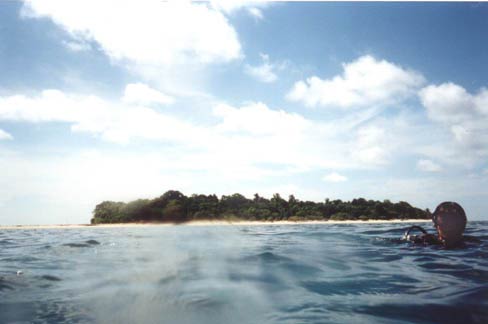 diving Derawan Archipelago